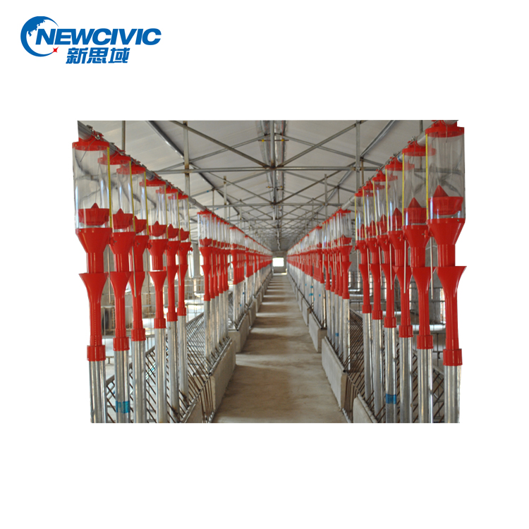 Automatic Pig Feeding System